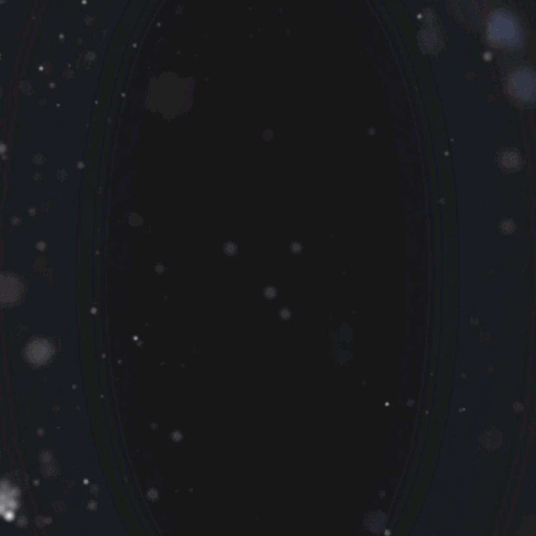 🍓🍓🍓🍓🍓🍓🍓🍓🍓🍓