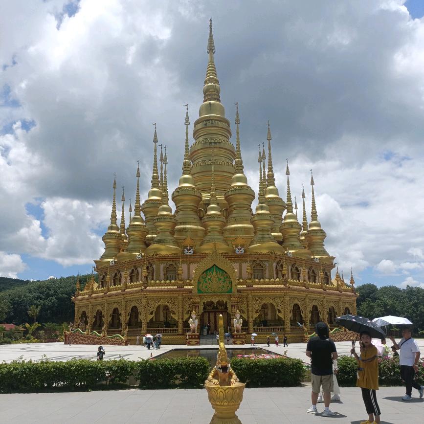 🌊 南风入弦 🌊