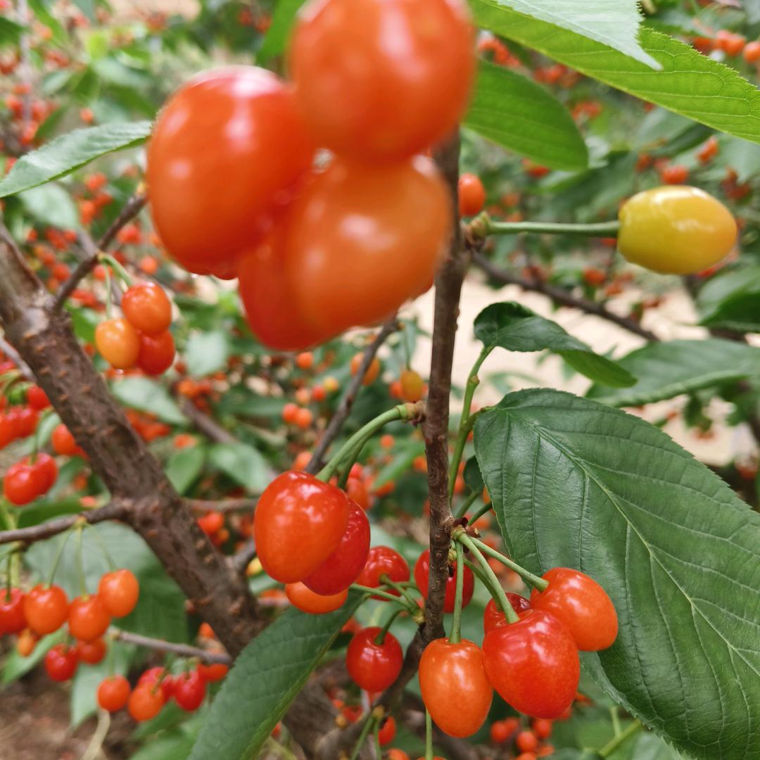 忘掉一切。包括你