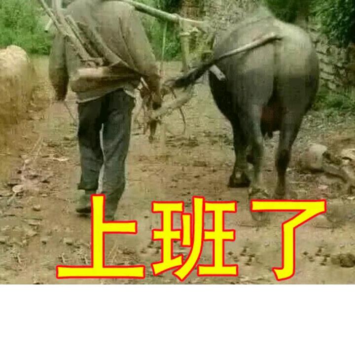 学林