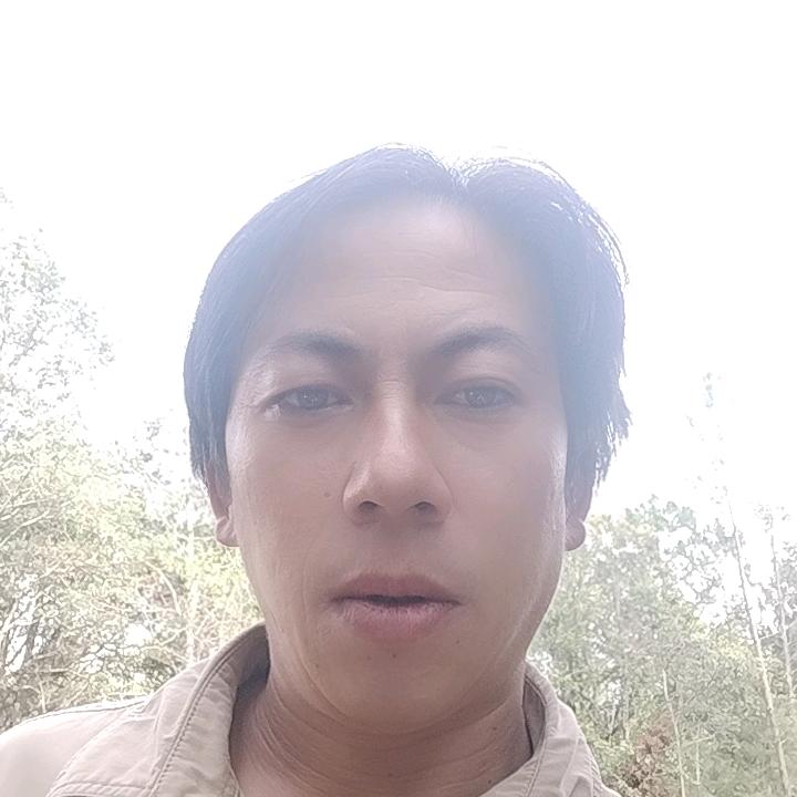 大山里卖松茸菌）蜜蜂的宋小哥有需要的