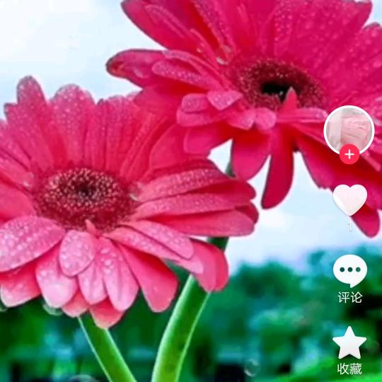 遇上你是我的缘