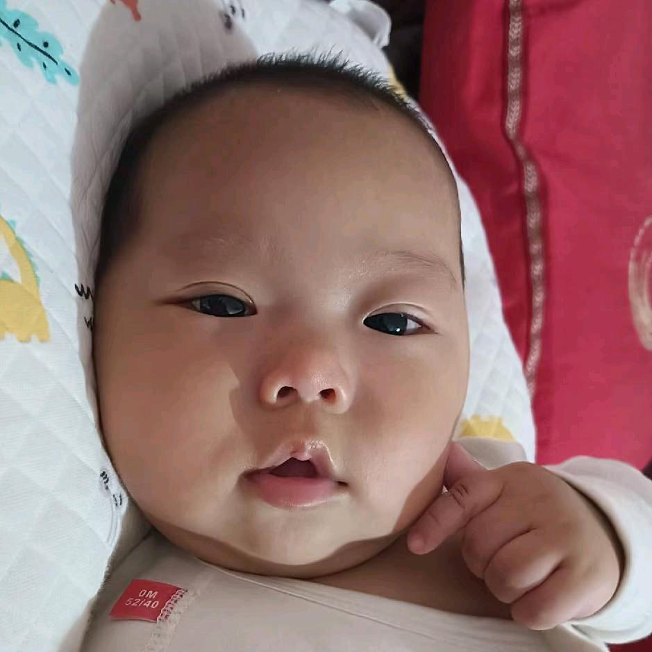 孤狼