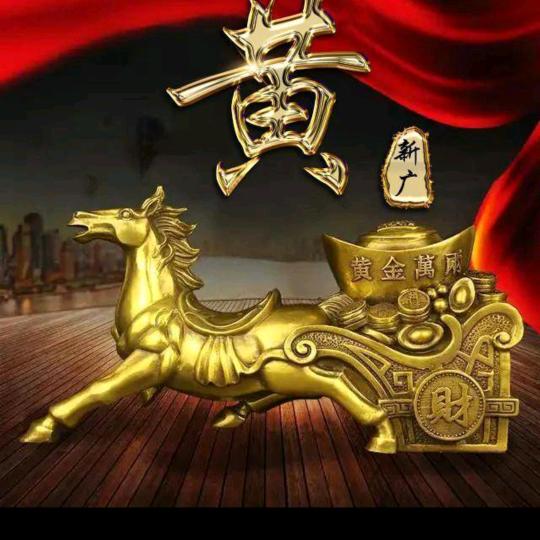 孤风踏浪