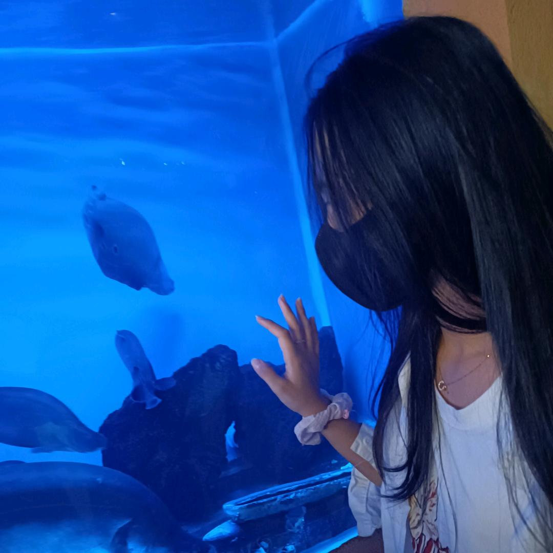 日出迟暮只守炼一人