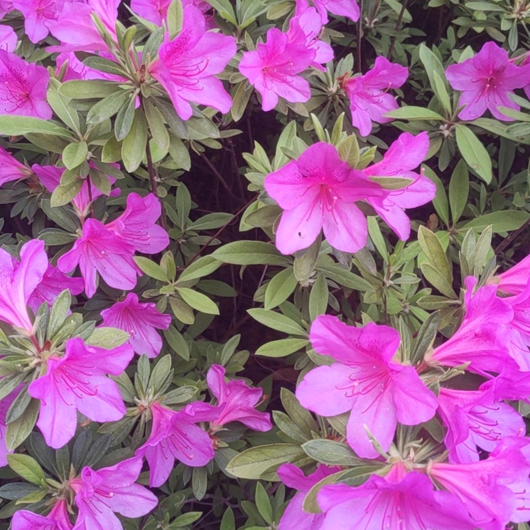 九宫山天然泉水