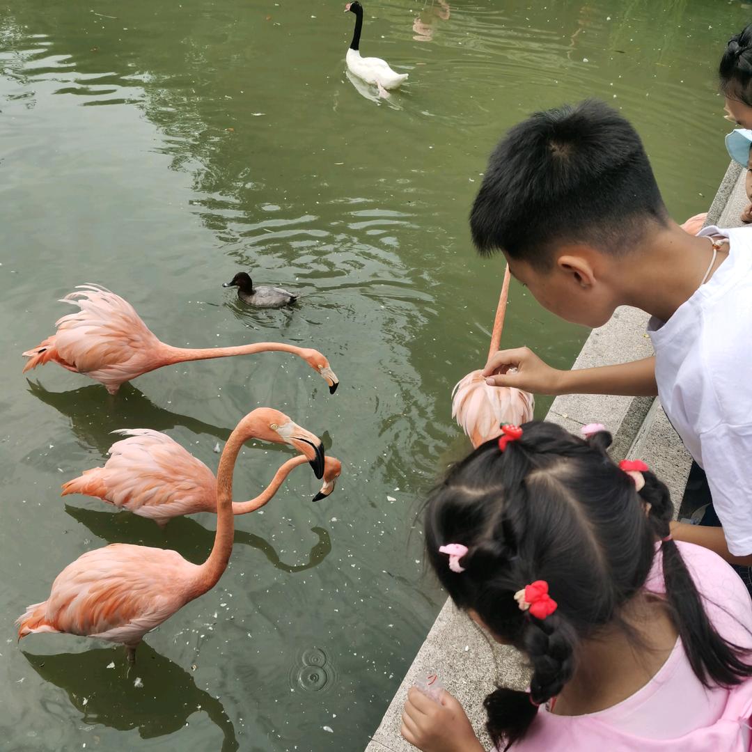 @肥东鲜卤招商合作运营平台