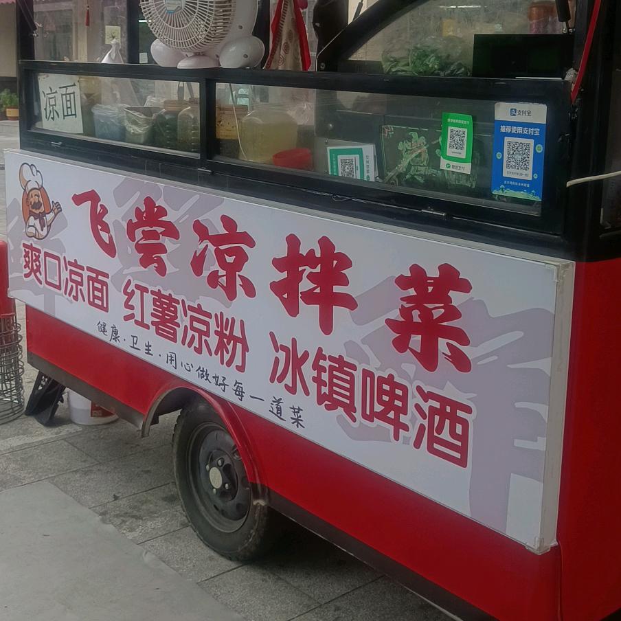 飞尝凉拌菜