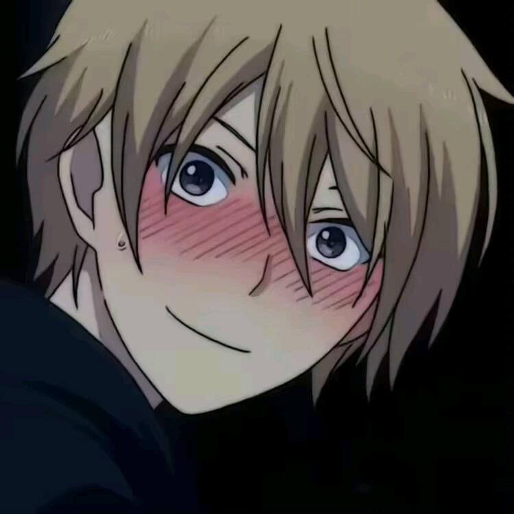 杏十五.
