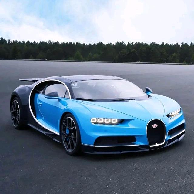 炼川天台鼎盈汽车用品专卖店