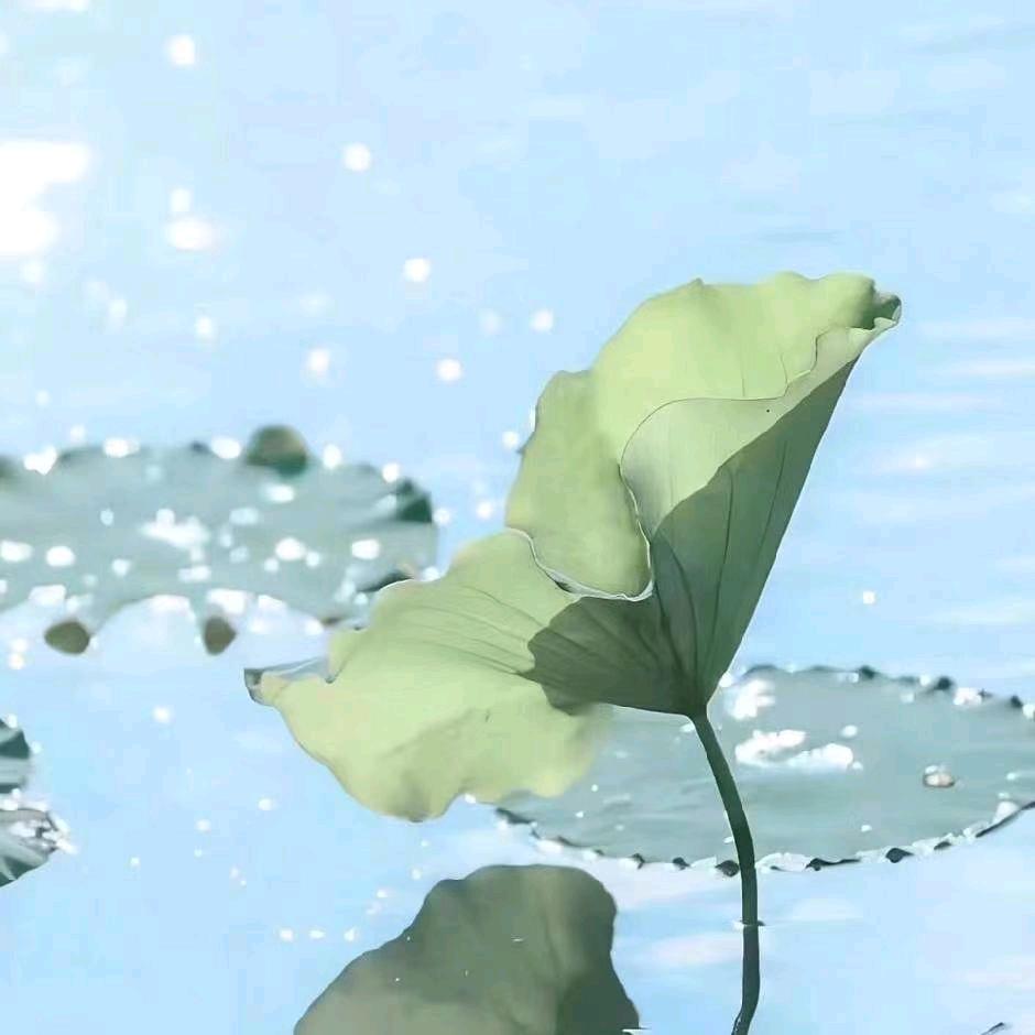 梦想是一夜暴富