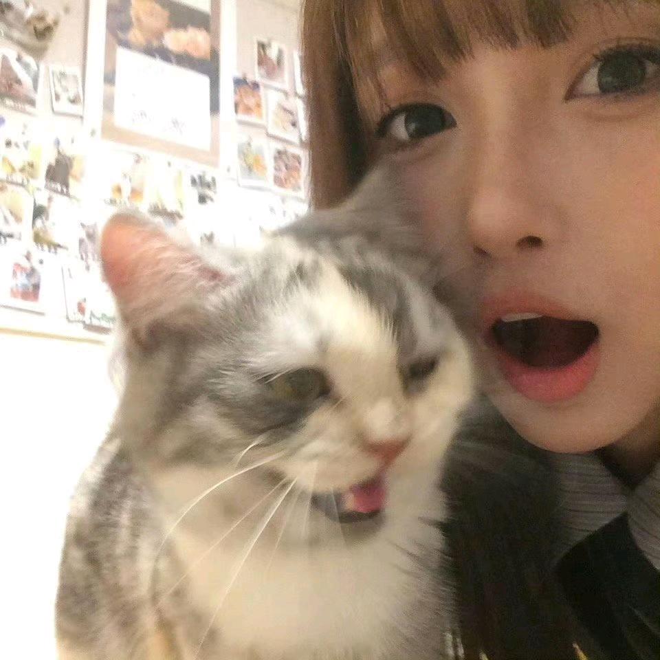 韩霖