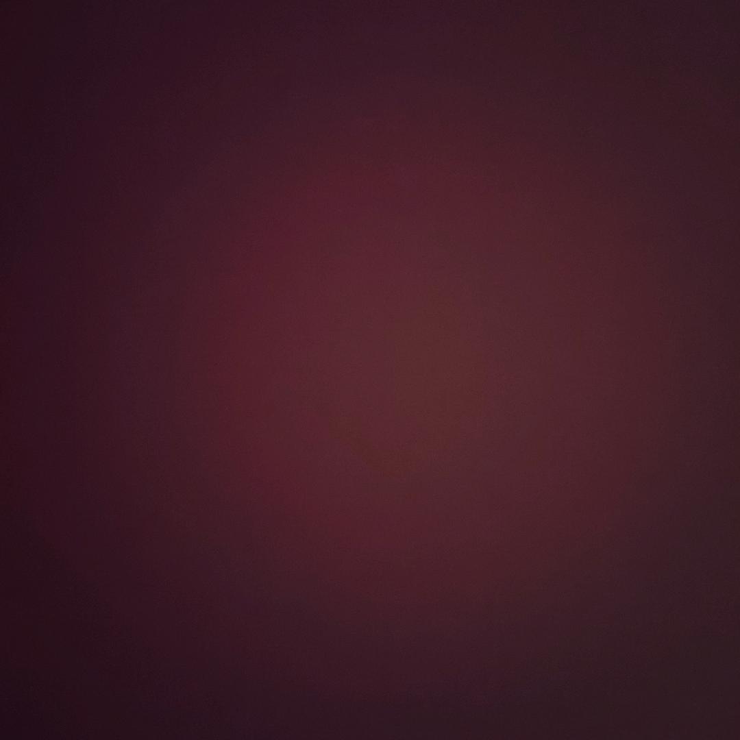 鲸🐳2头像