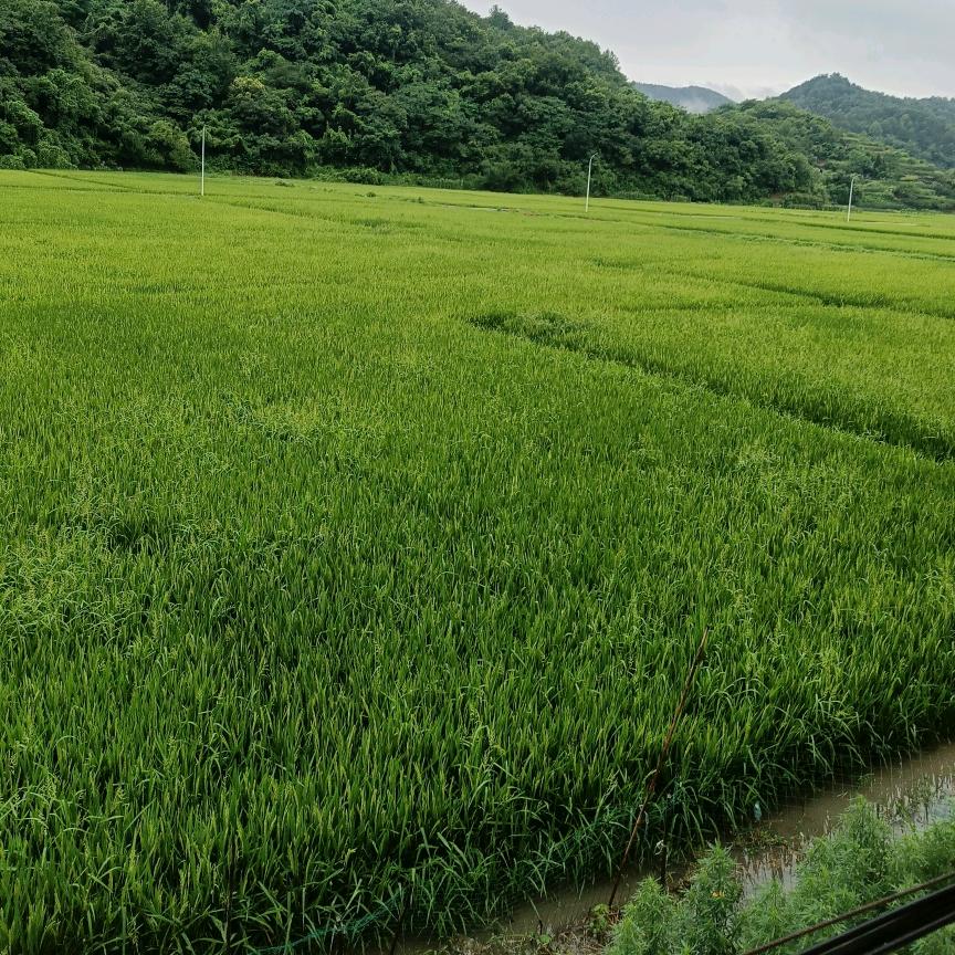 壹加洗车美容生活馆