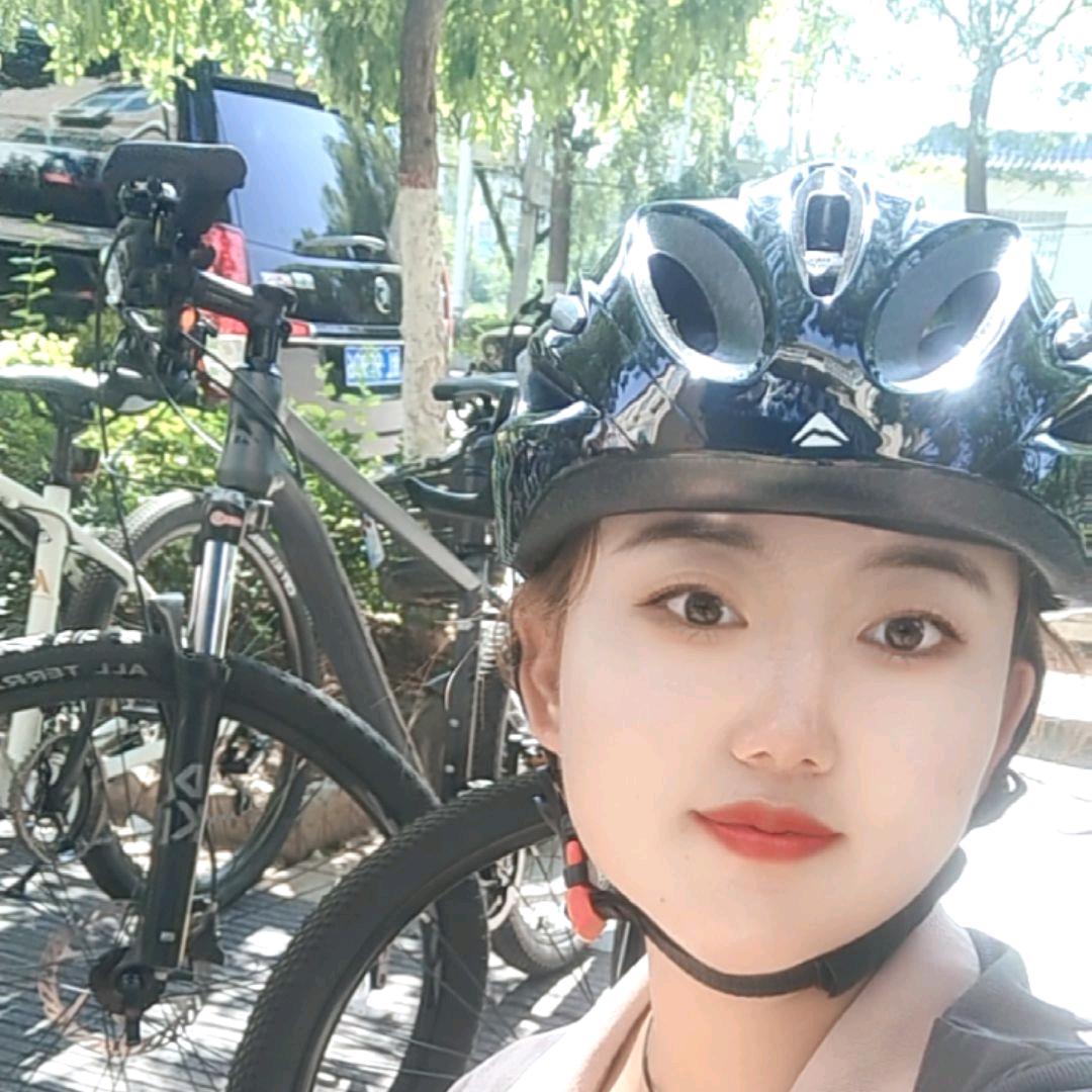美利达山地车自行车