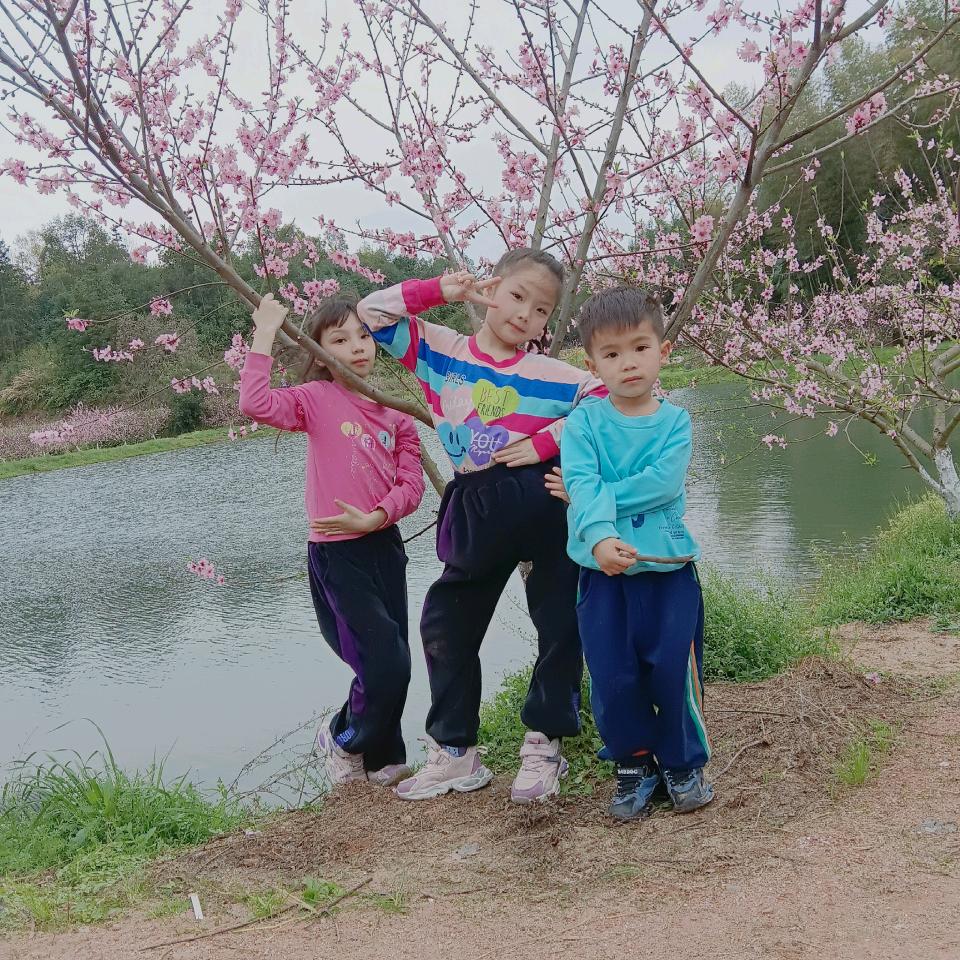 莎