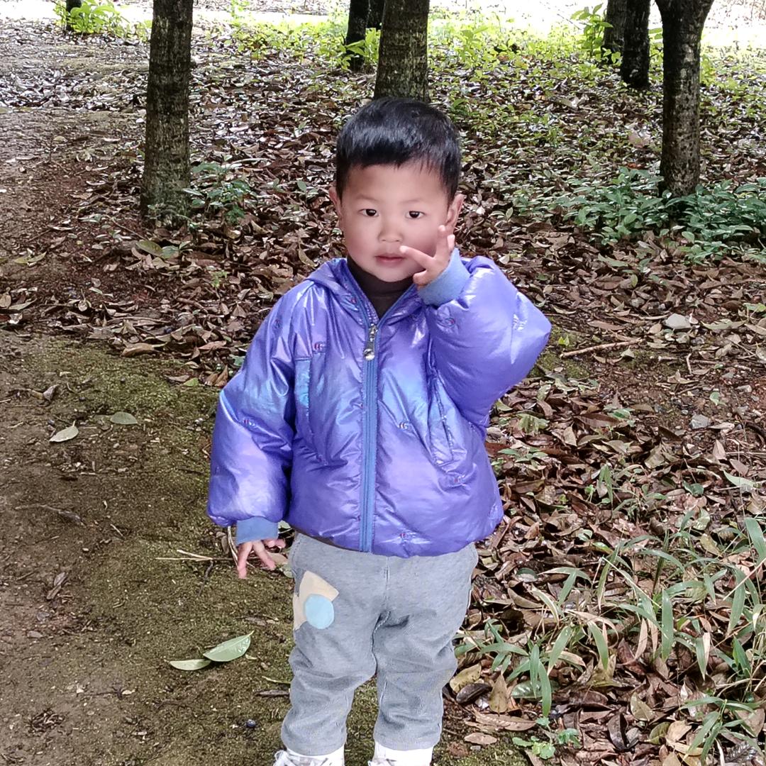 小月姐姐