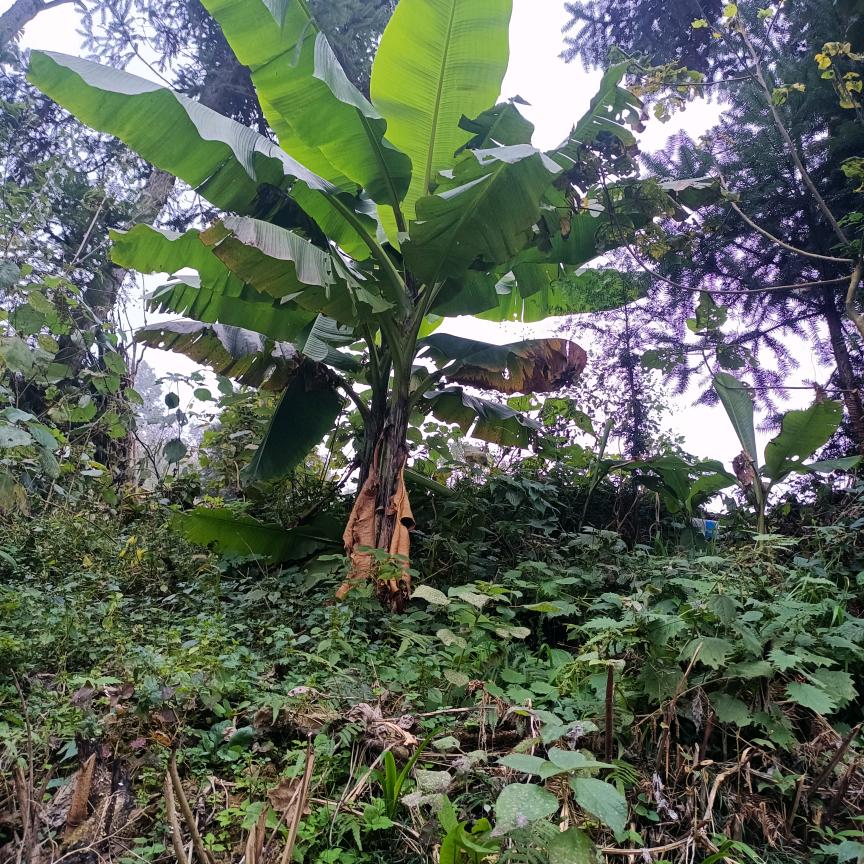 开心过好每一天