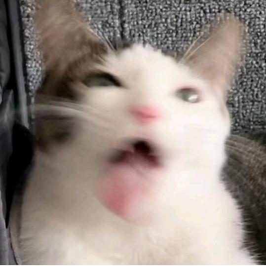 杰EM美可潮玩·儿童乐园·团建派对