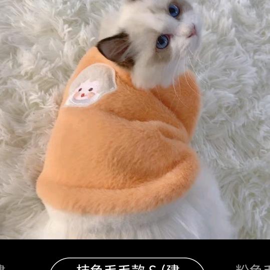 我不想说