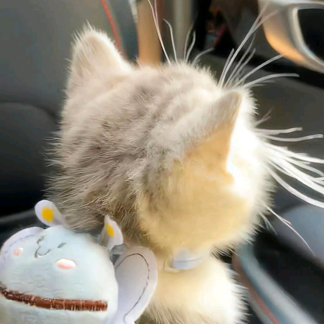 嫩姨