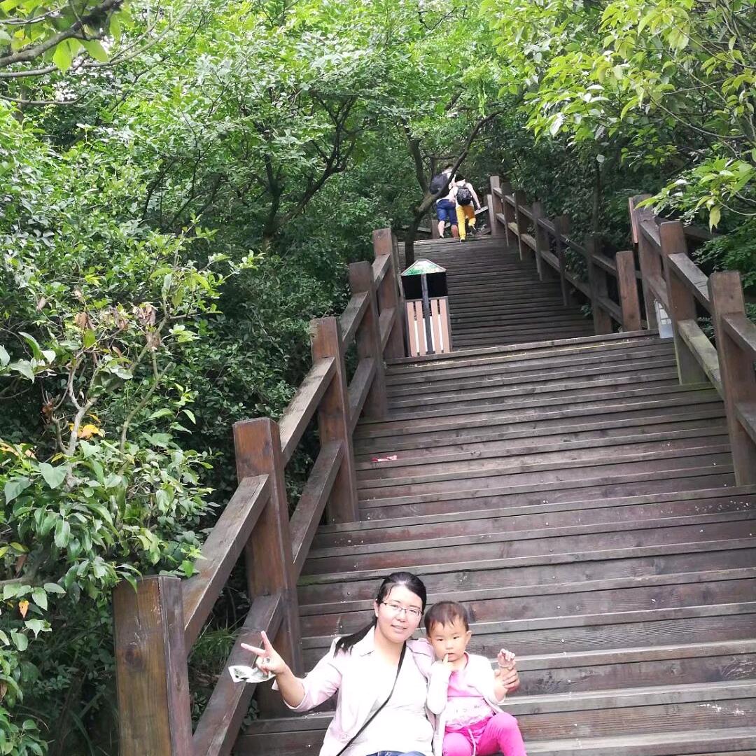 人生若只如初见