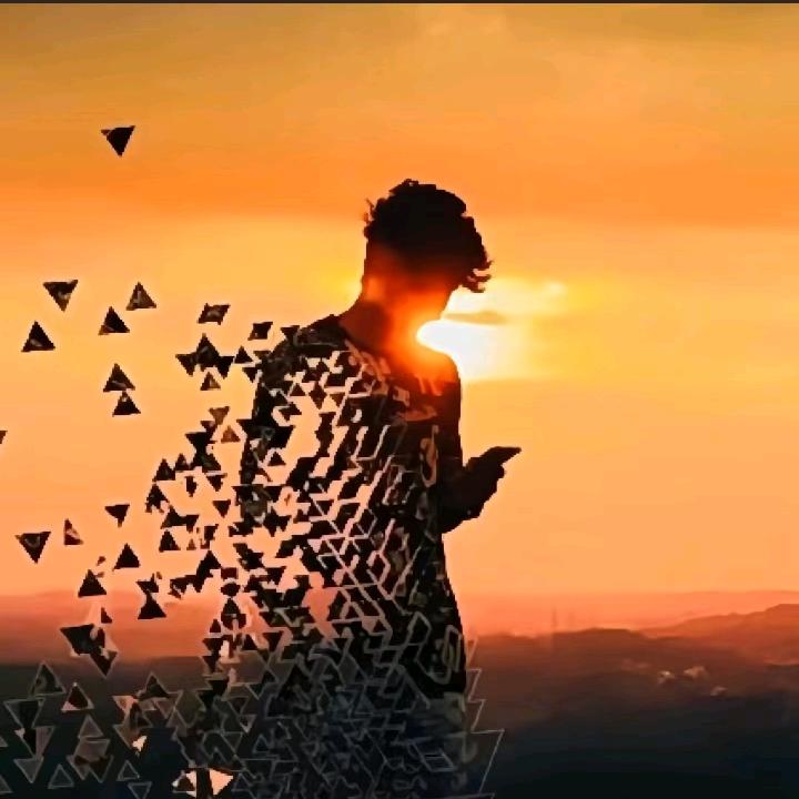 太阳下的韵律星辰音乐馆