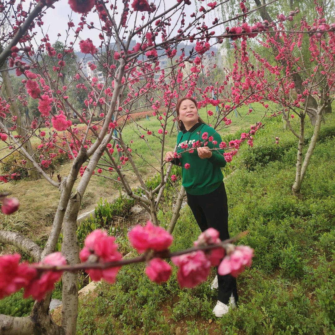 花梅