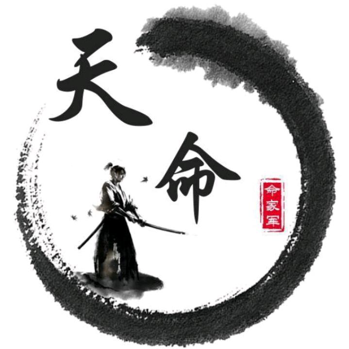 天命本本