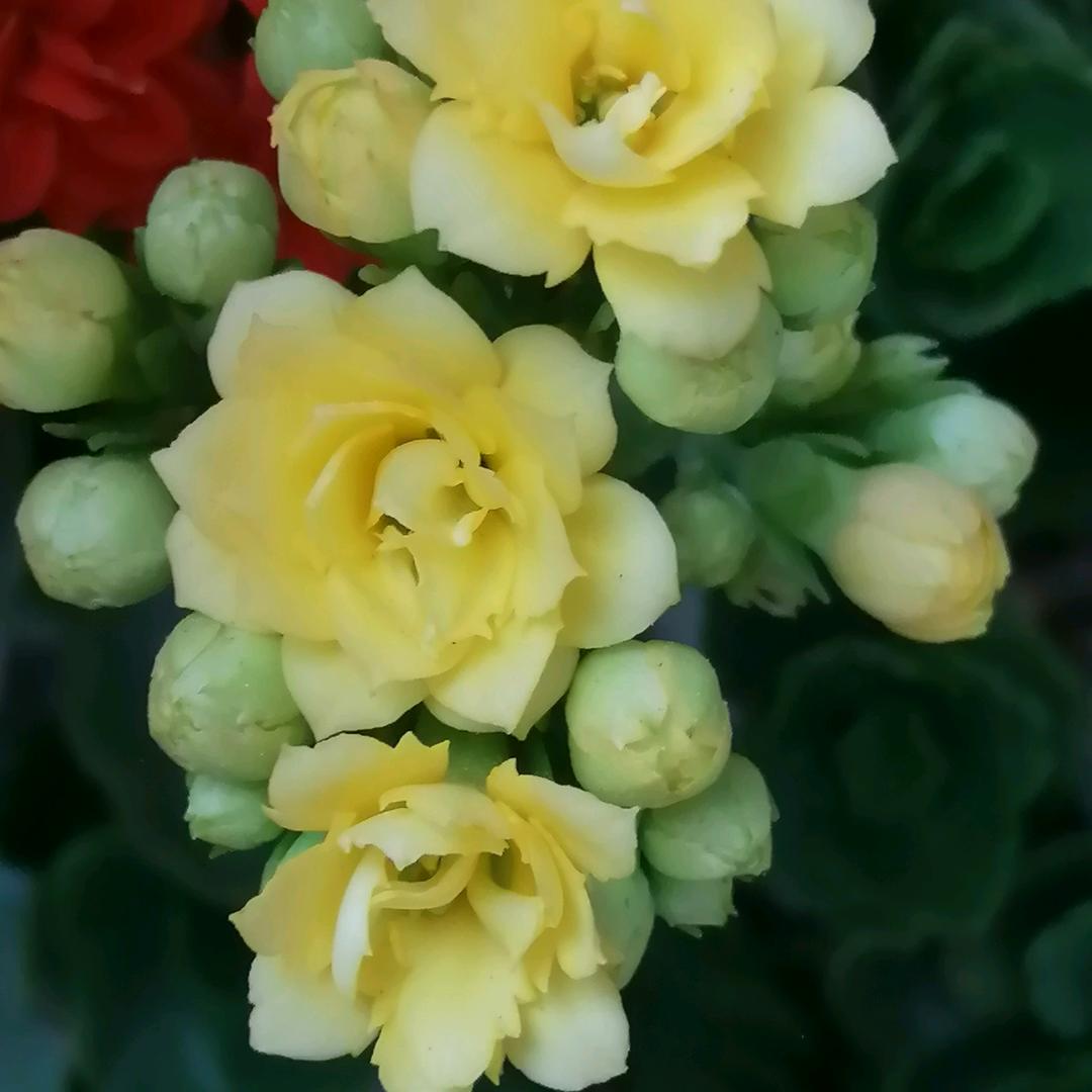 🍓🍎随遇而安💋💋