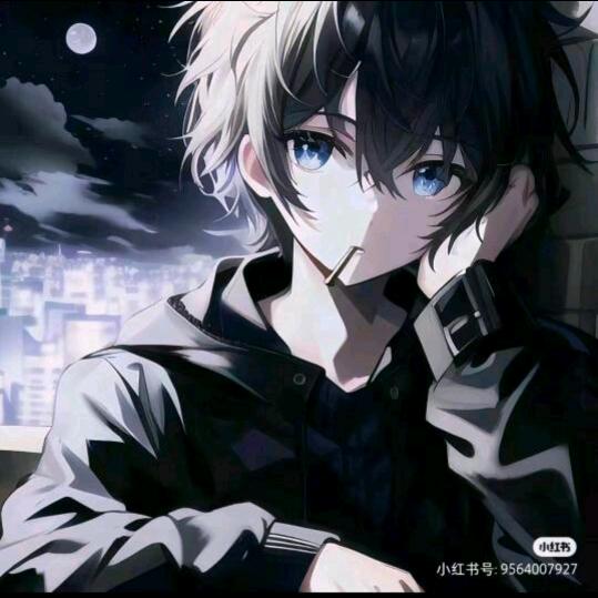 王者荣耀小灰（南充第一澜）