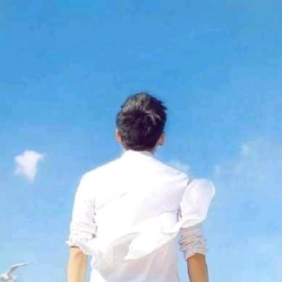 橙子🍊（好物推荐）