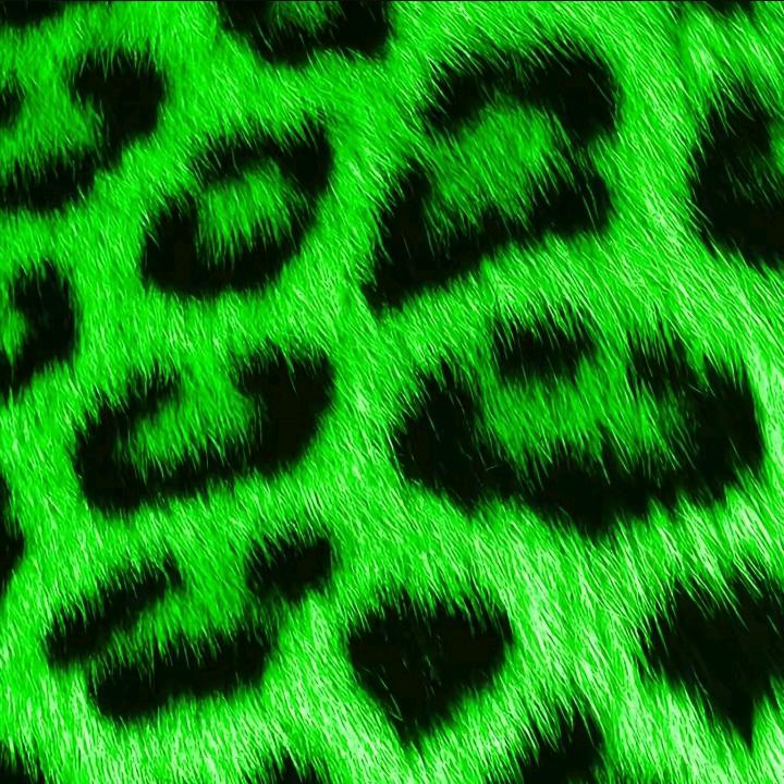 C·罗