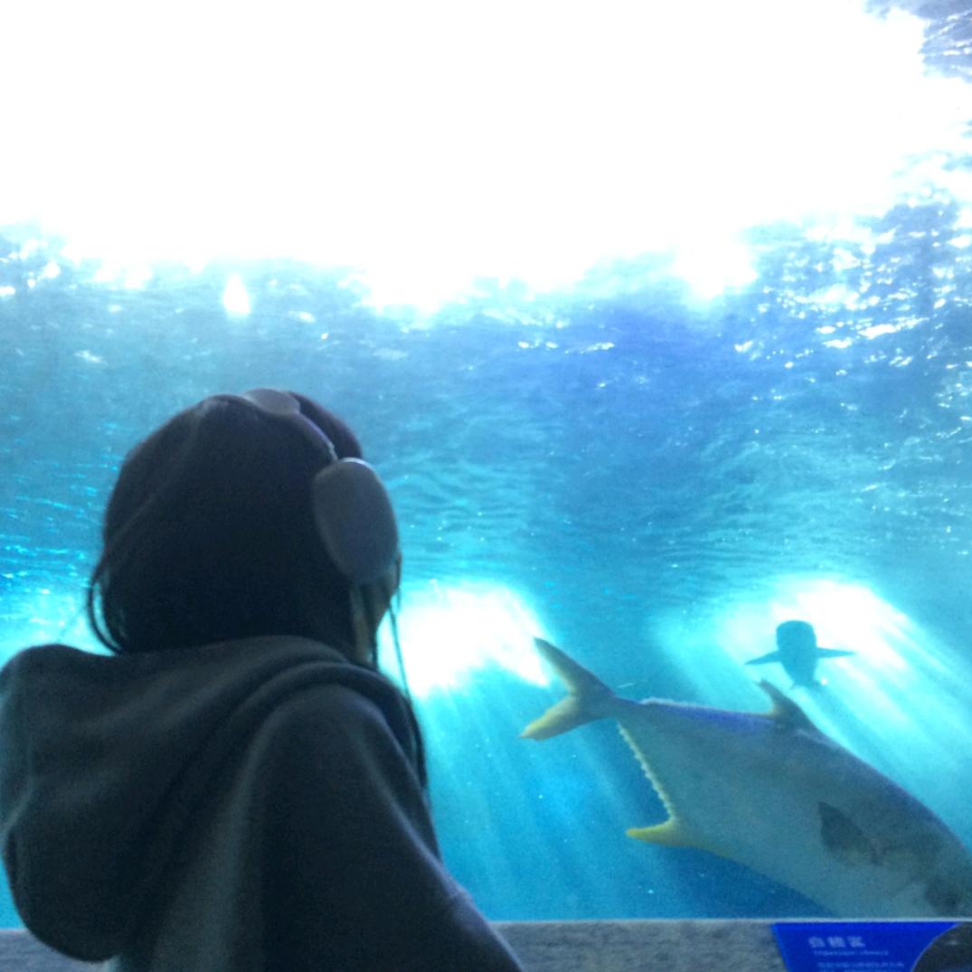 璃沫ᐝ