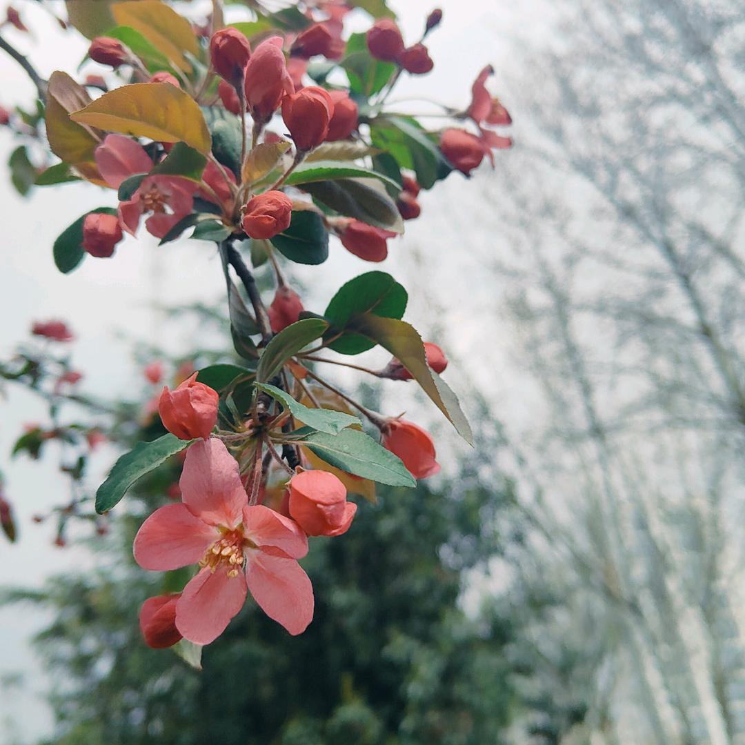 粒及旺财（可代随喜）