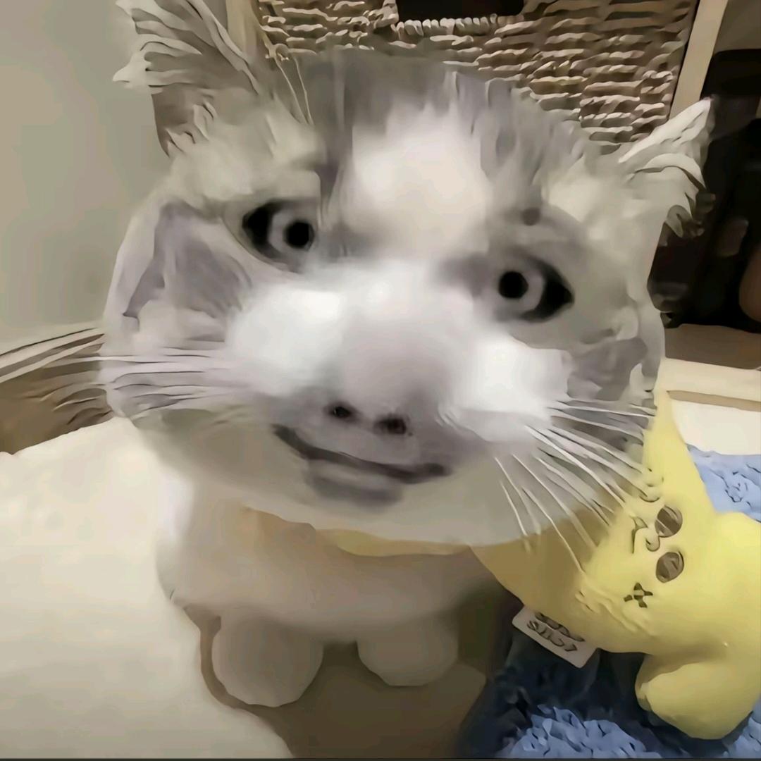 .̶♡̶眼̶里̶有̶星̶河̶