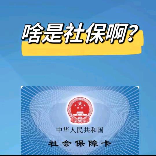 人力资源社会保障