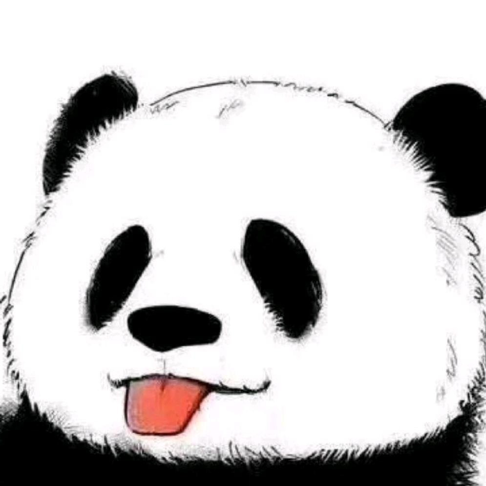 滚滚大熊猫