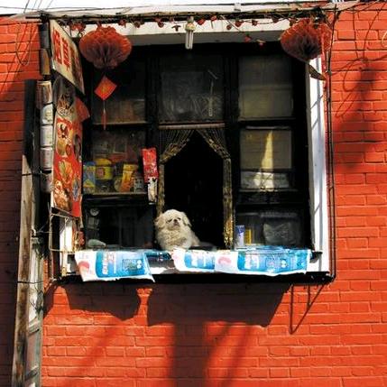 家门口的小卖铺