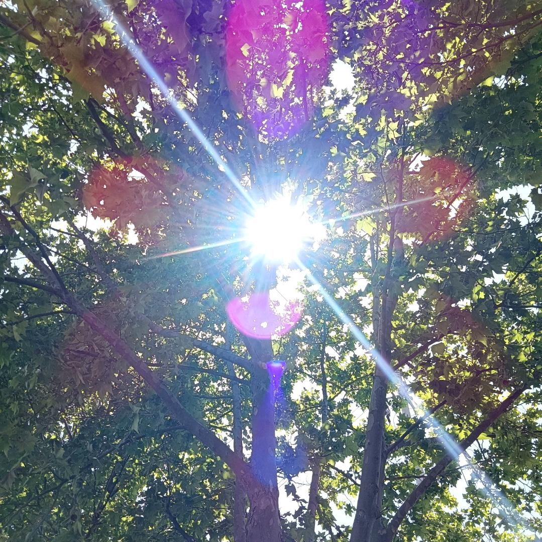 田上吉