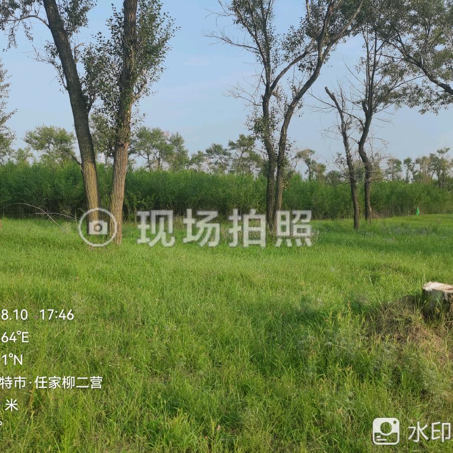 无聊电影（关注发V）