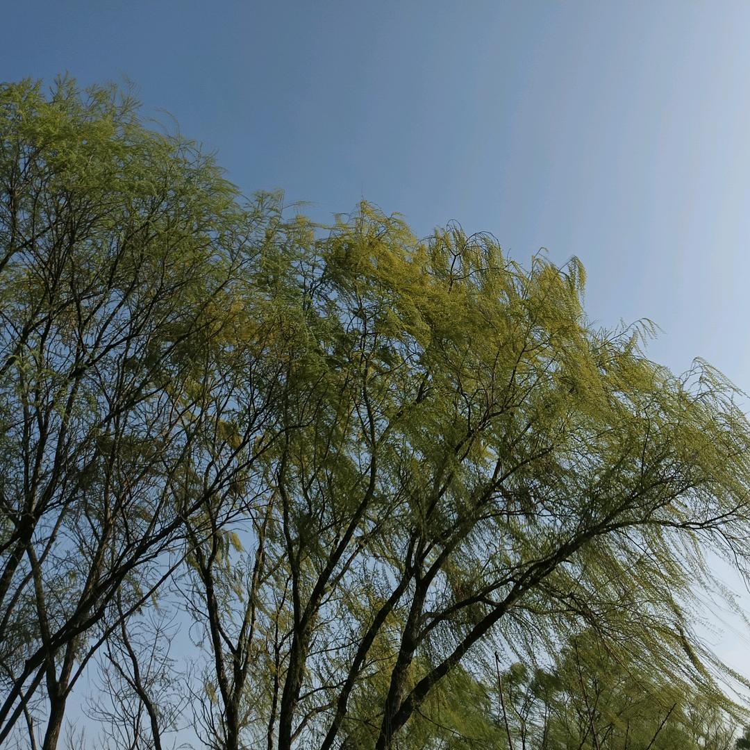 懒懒懒