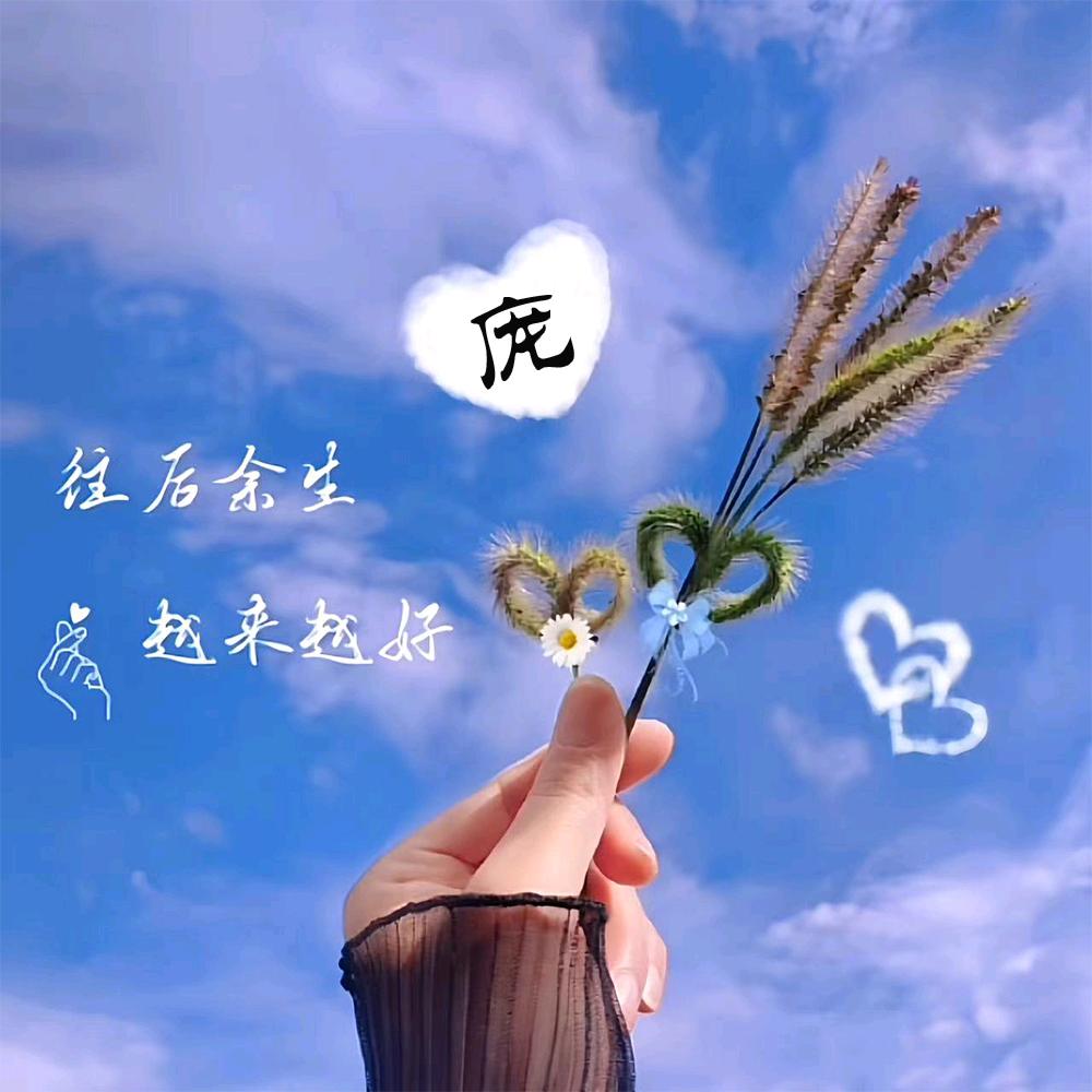 一颗庞庞糖（拒绝私聊）