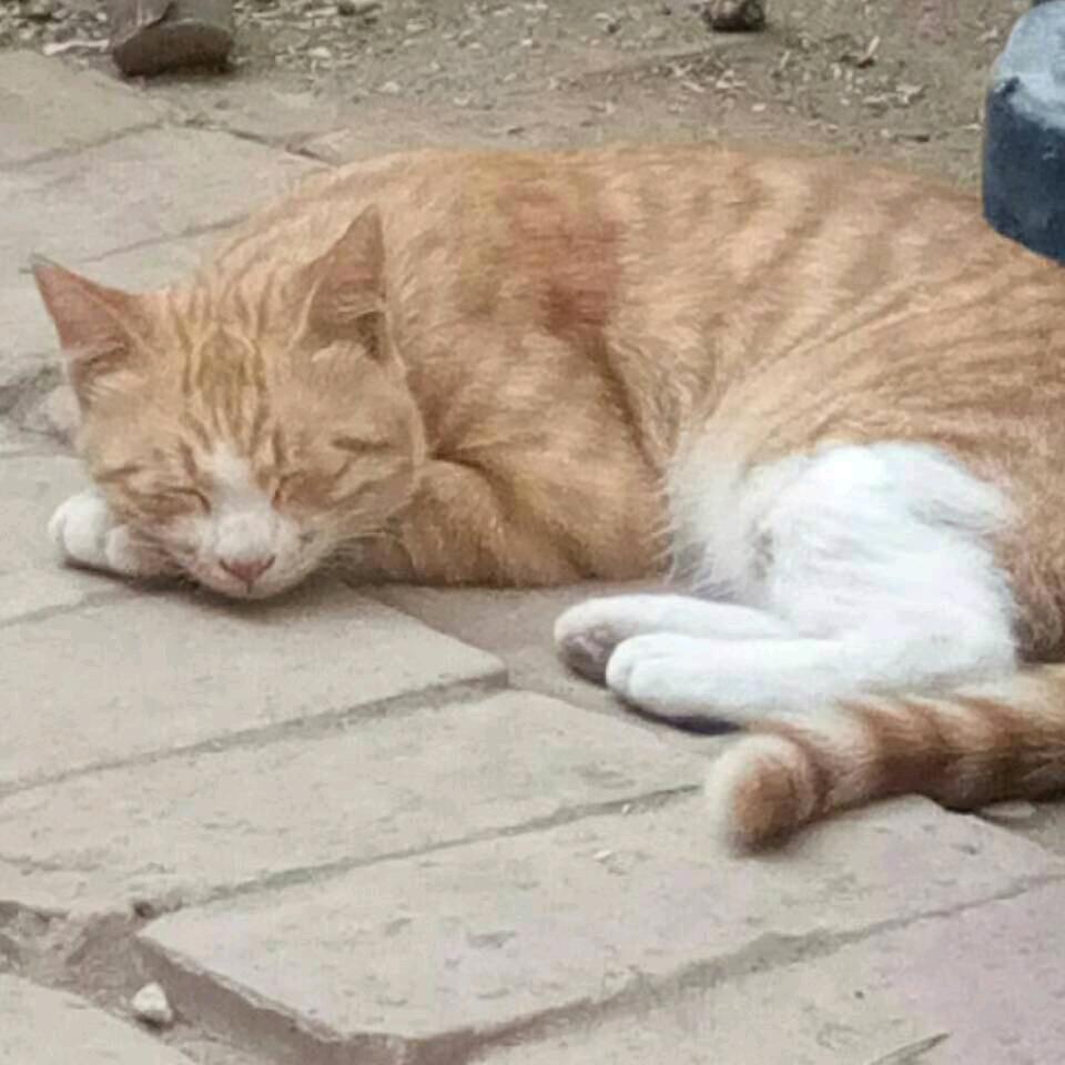 搞笑是我的代名词