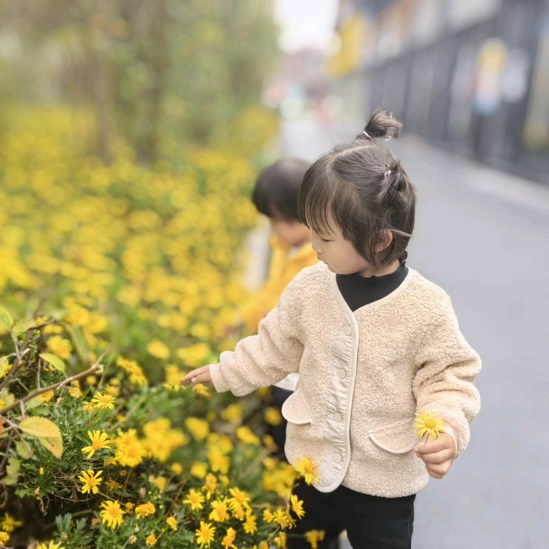 朵朵