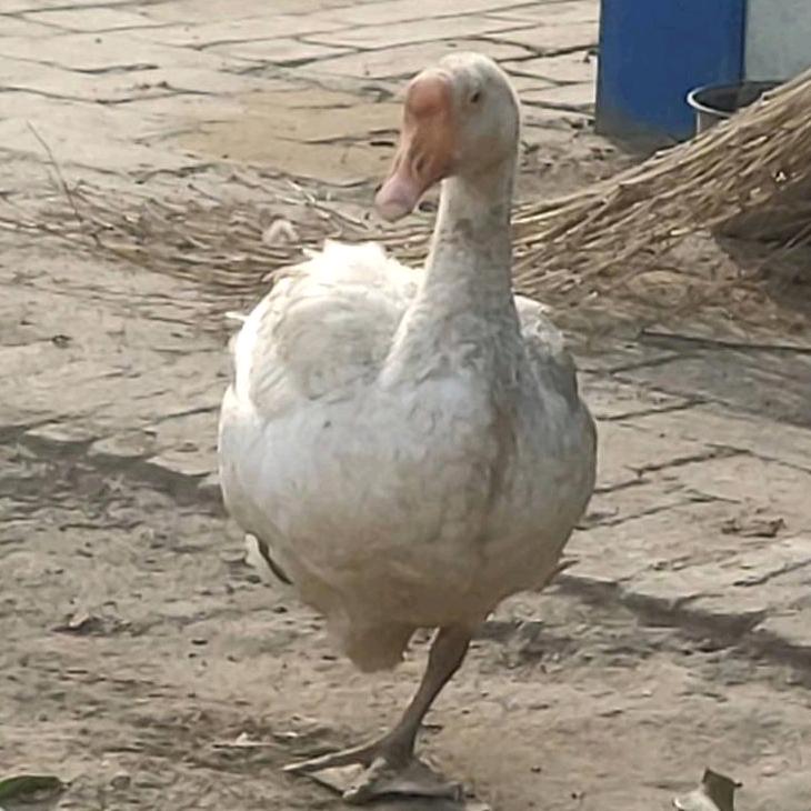 嘻嘻嘻嘻嘻嘻嘻