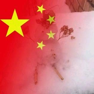 睿辰宝宝