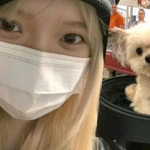 章鱼小丸子