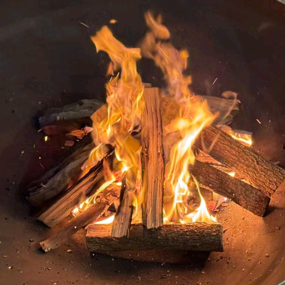 浦东马路边的小草