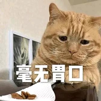 泡面脑袋